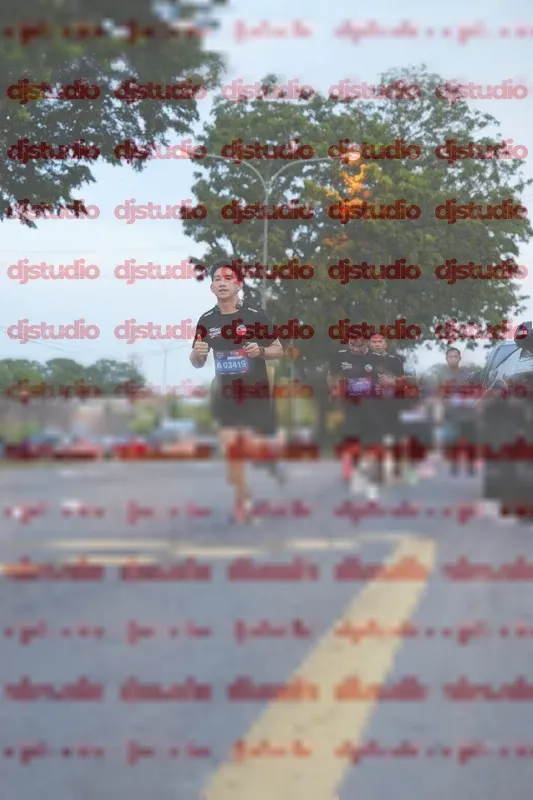 Photo ID 4194525
