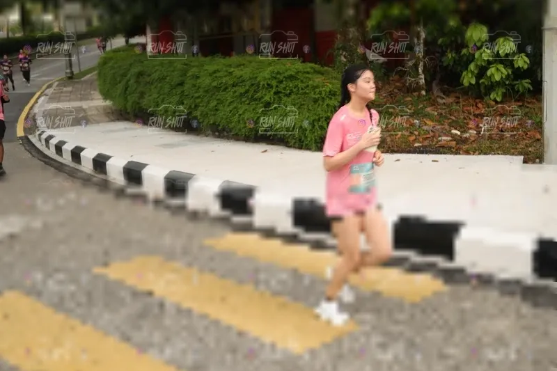 Photo ID 4259959