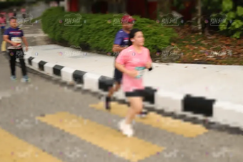 Photo ID 4260087