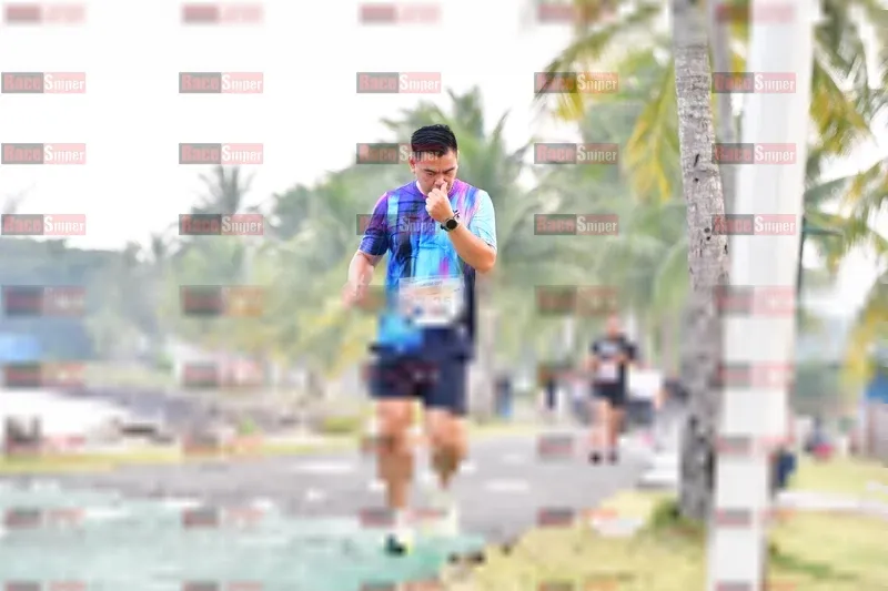 Photo ID 4311204