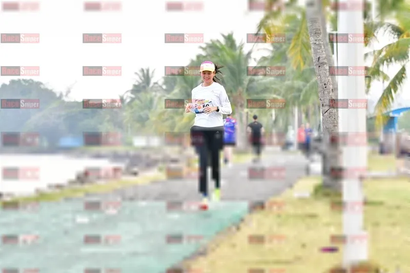 Photo ID 4311230