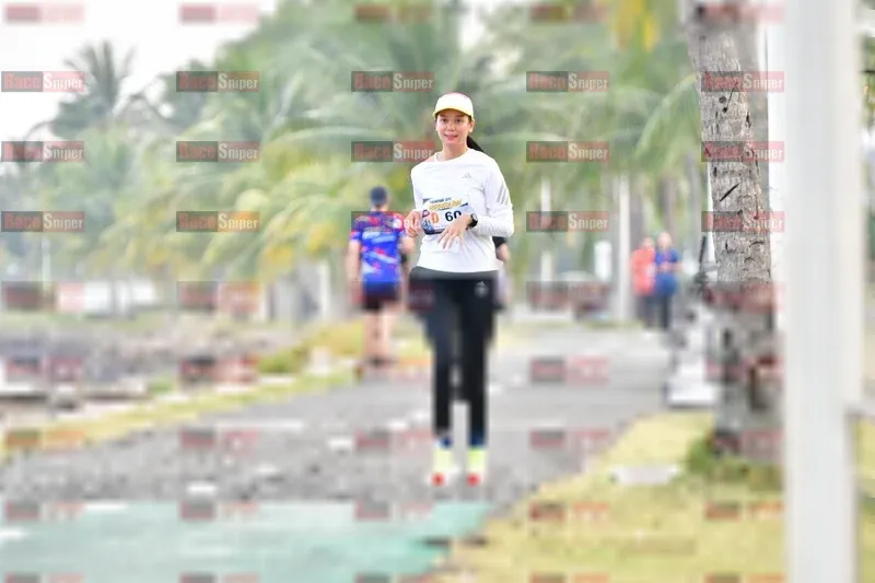Photo ID 4311233