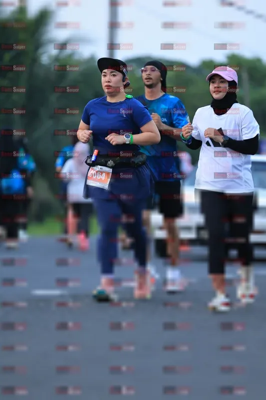 Photo ID 4558960