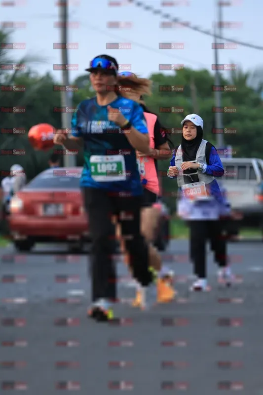 Photo ID 4559974