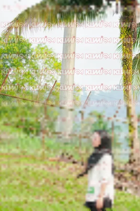 Photo ID 4734168