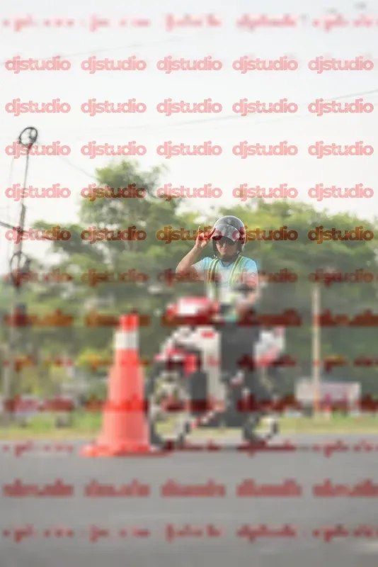 Photo ID 4802411