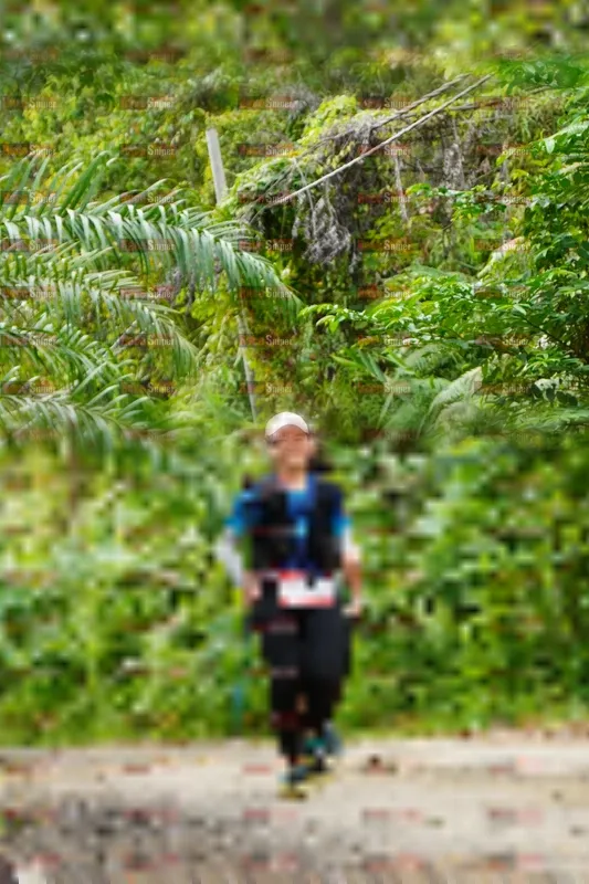 Photo ID 5064247