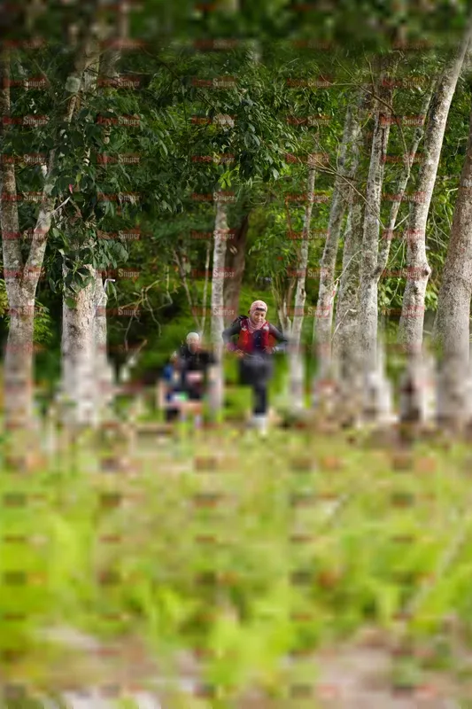 Photo ID 5069311