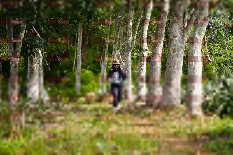 Photo ID 5080200