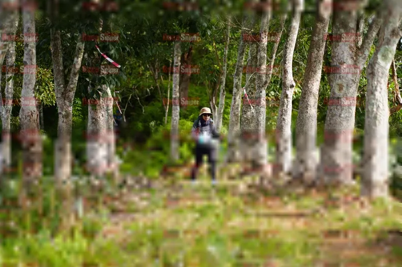 Photo ID 5080202