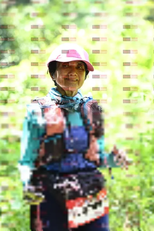 Photo ID 5080805