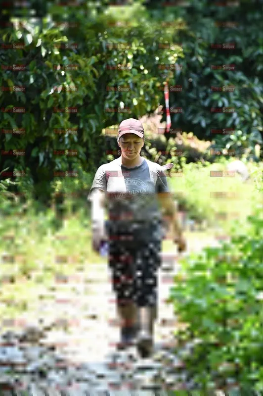 Photo ID 5082043