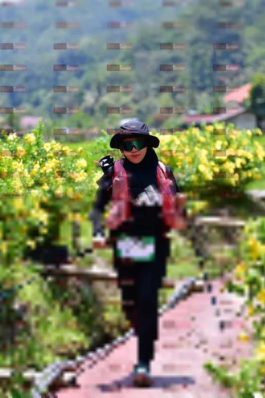 Photo ID 5090109