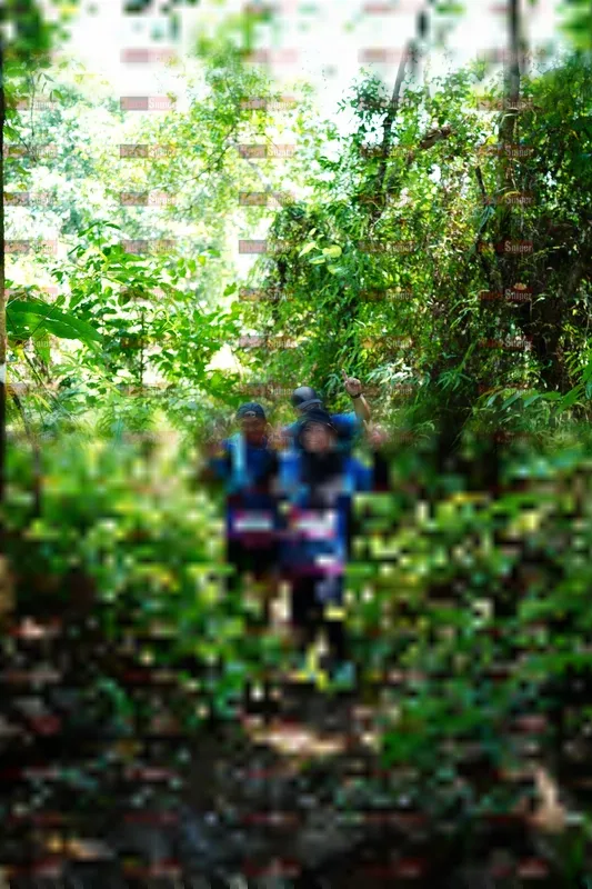Photo ID 5093426