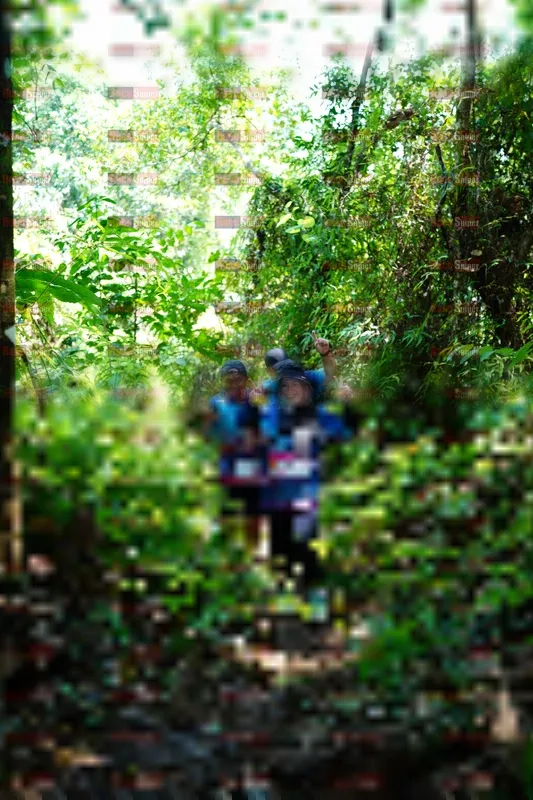 Photo ID 5093450