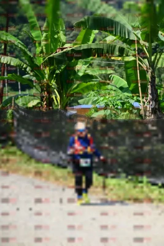 Photo ID 5100913