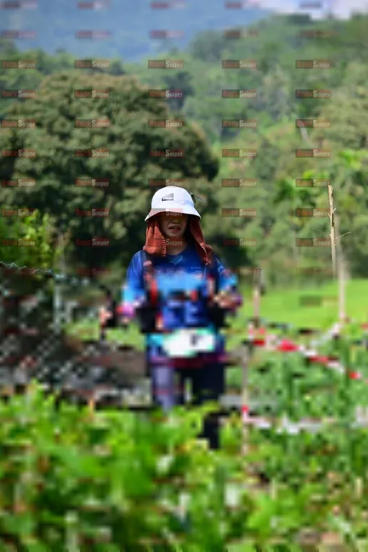 Photo ID 5105013