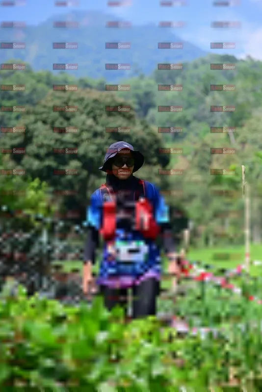 Photo ID 5105541