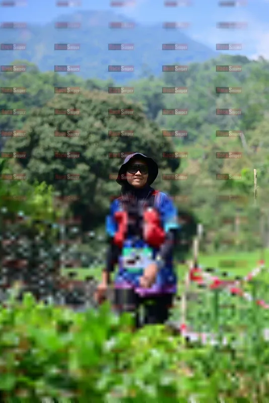 Photo ID 5105645