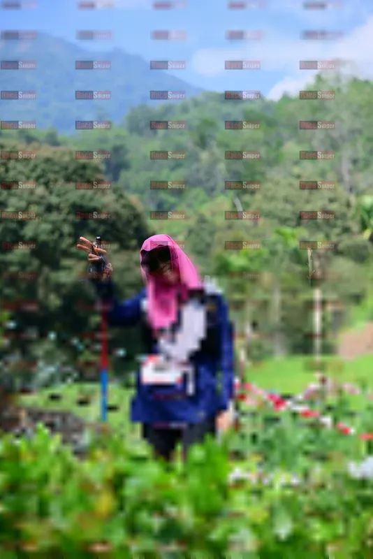 Photo ID 5106029