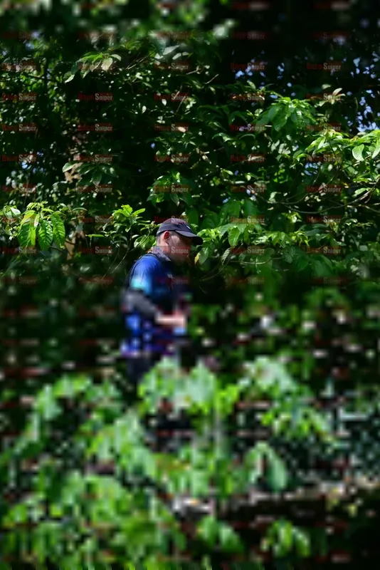 Photo ID 5106223