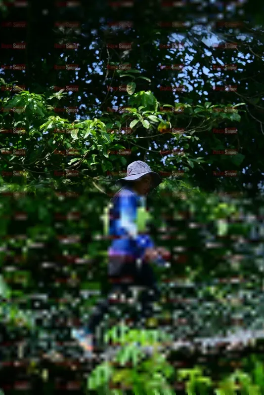 Photo ID 5107525