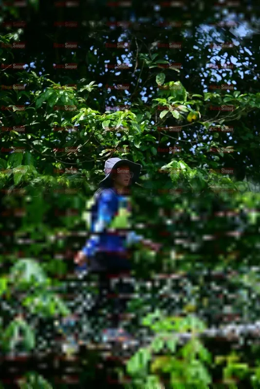 Photo ID 5107529