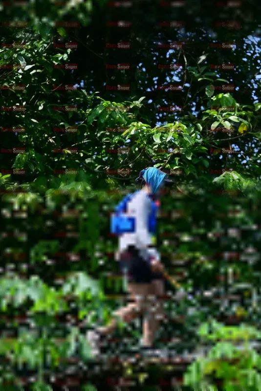 Photo ID 5107849