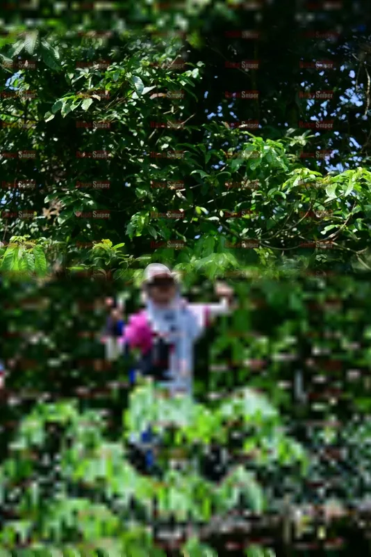 Photo ID 5108386