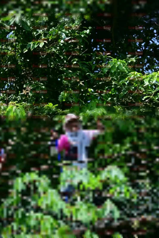 Photo ID 5108414