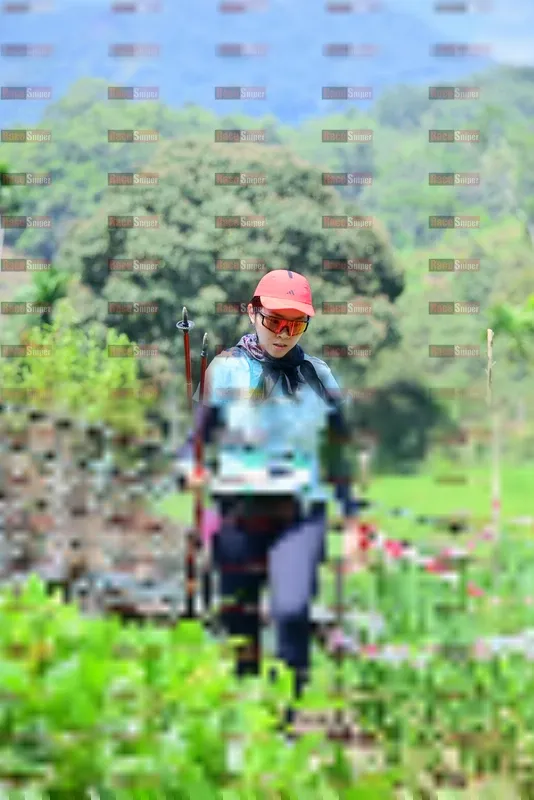 Photo ID 5112105