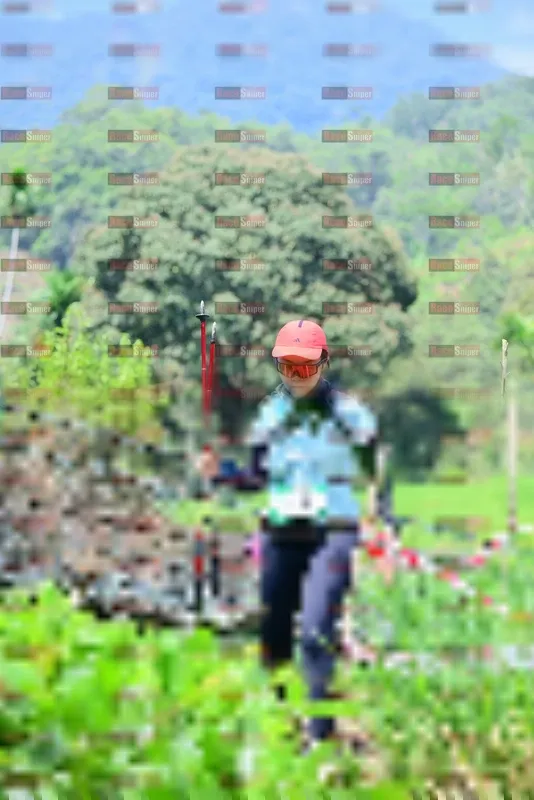 Photo ID 5112109
