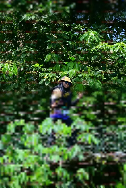 Photo ID 5112515