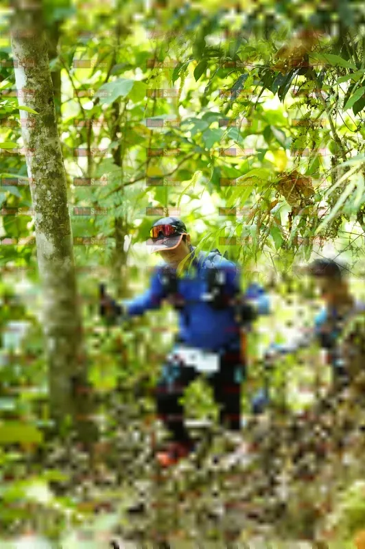Photo ID 5113045