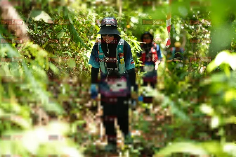 Photo ID 5114791