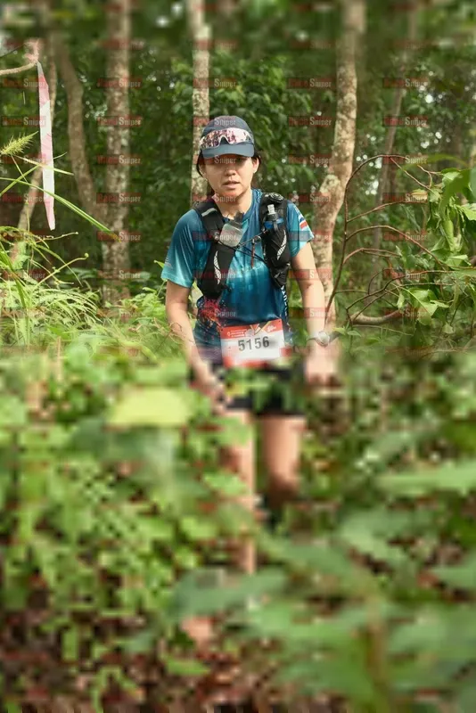 Photo ID 5121012