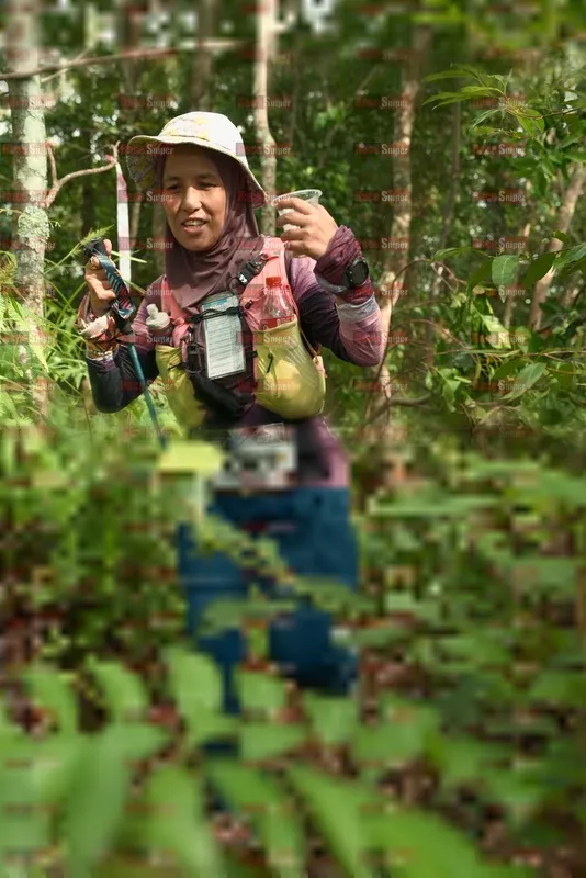 Photo ID 5125355