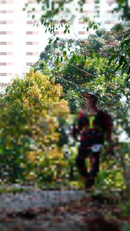 Photo ID 5150805