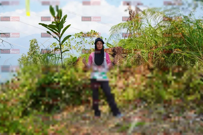 Photo ID 5171113