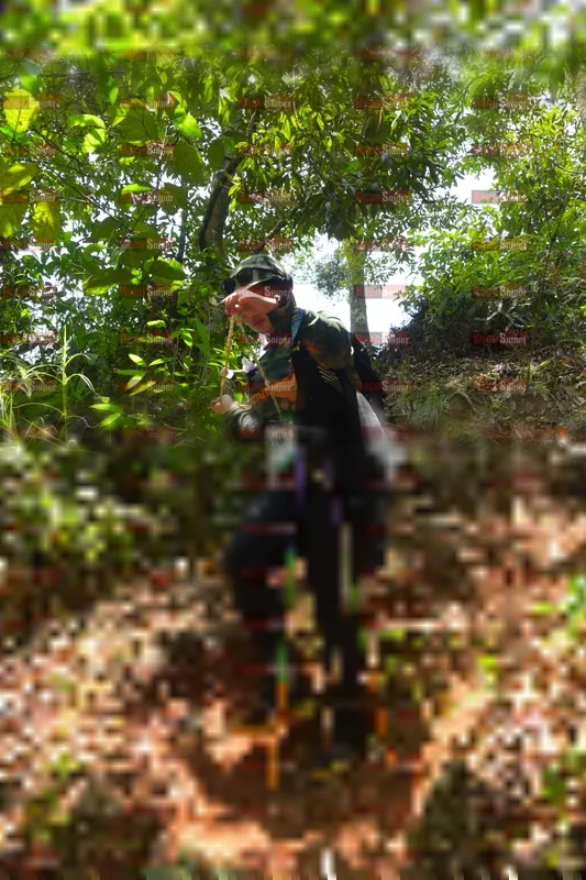 Photo ID 5171291