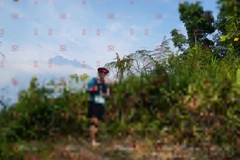 Photo ID 5172799