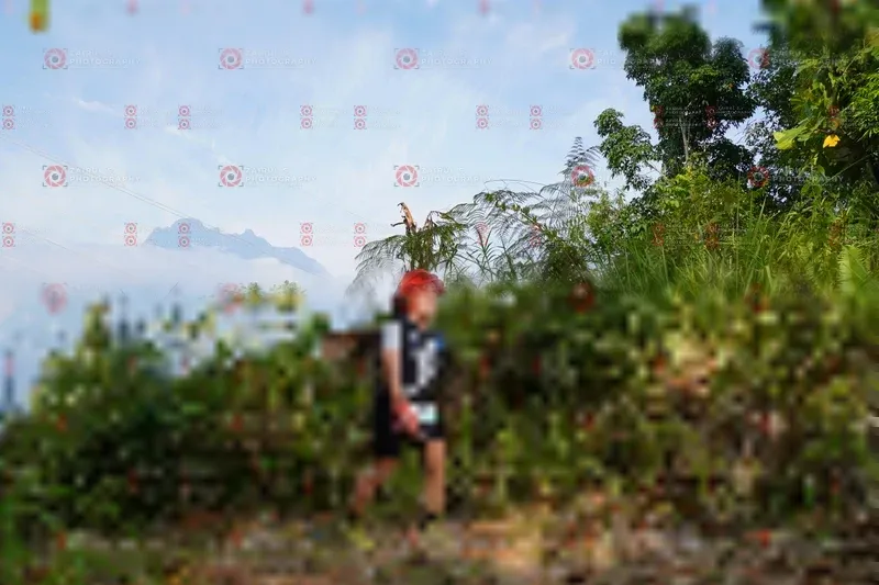 Photo ID 5172811