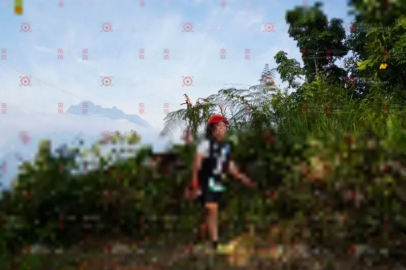 Photo ID 5172814
