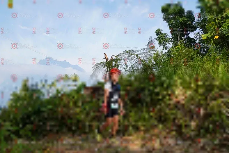 Photo ID 5173071