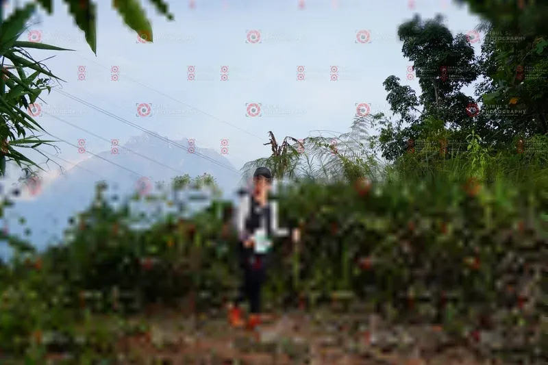 Photo ID 5173836