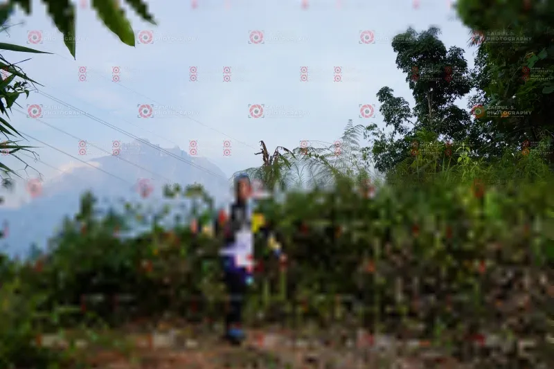 Photo ID 5173839