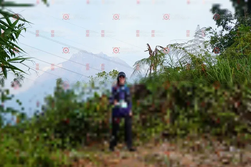 Photo ID 5173874