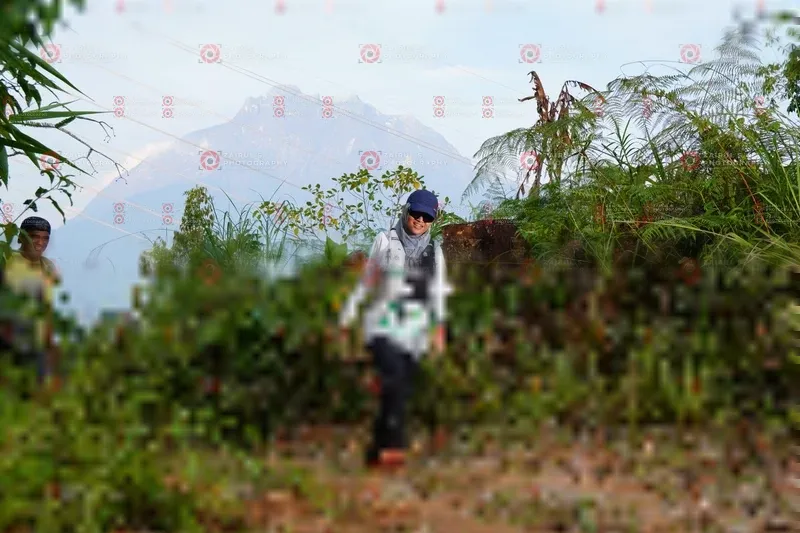 Photo ID 5173971