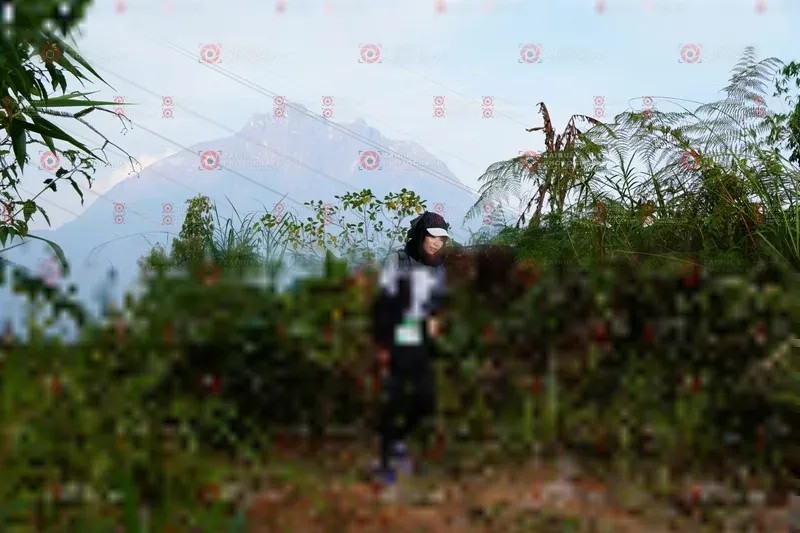 Photo ID 5174010