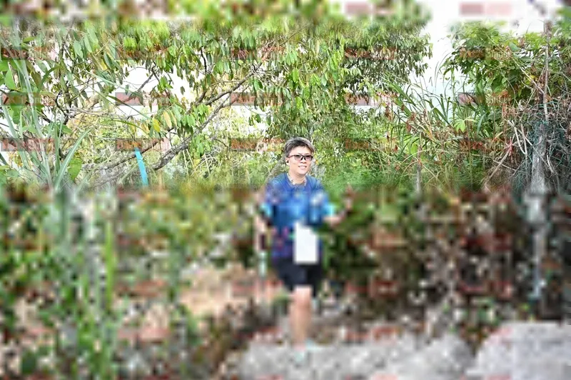 Photo ID 5175157